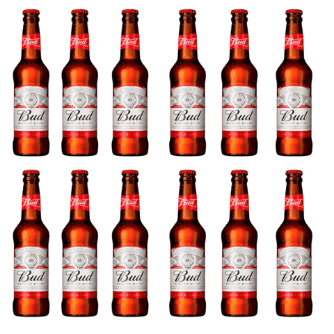 12 Flaschen Bud Lagerbier in zwei Reihen aufgestellt vor weißem Hintergrund – mittlere Packungsgröße
