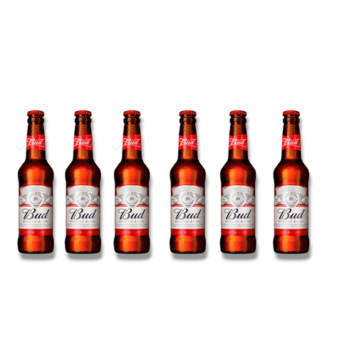 6 Flaschen Bud Lagerbier nebeneinander vor weißem Hintergrund – kleine Probiergröße