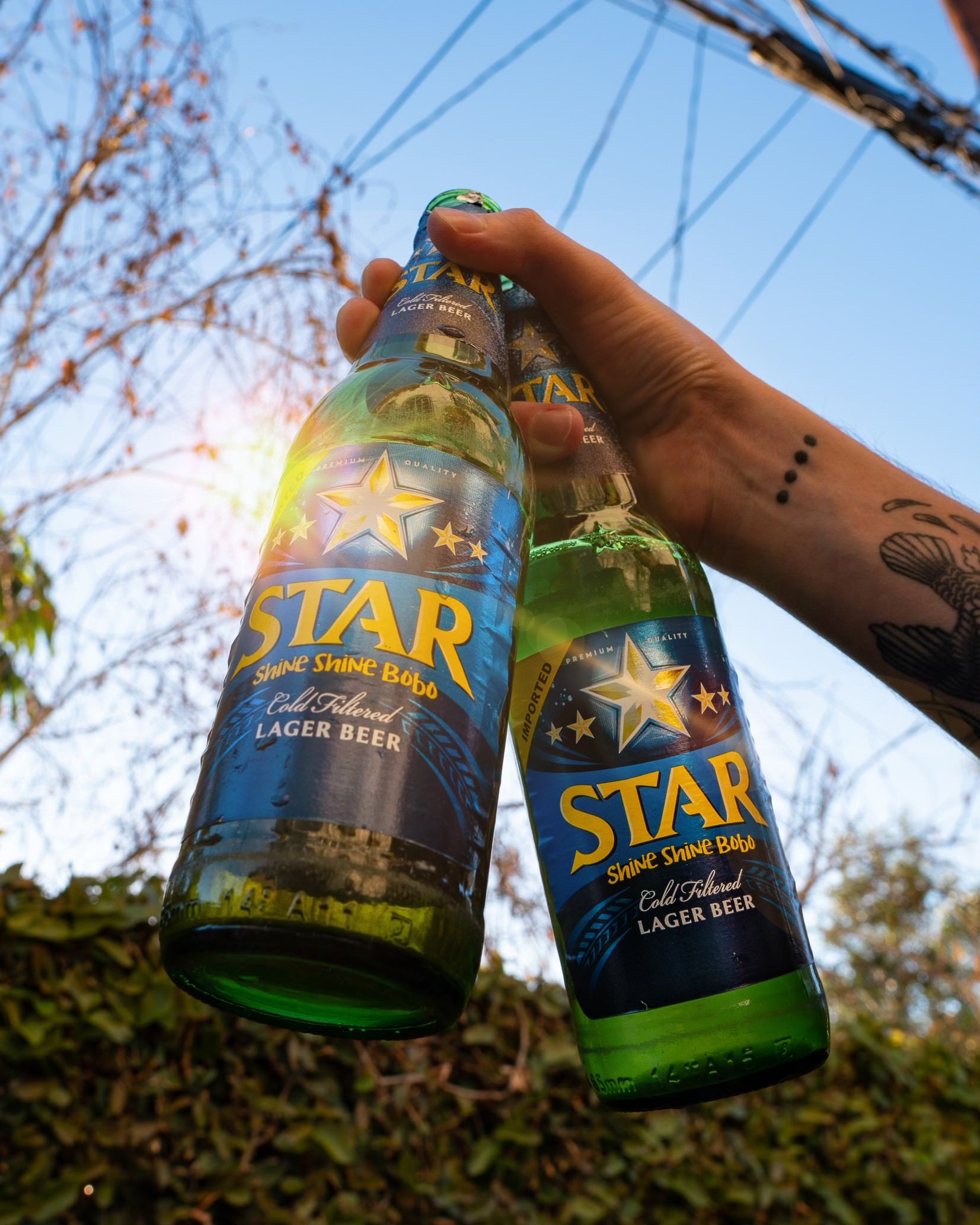 Star Finest Lager Beer 0,6l-  Nigerianisches Lager mit 5,1 % Alc.