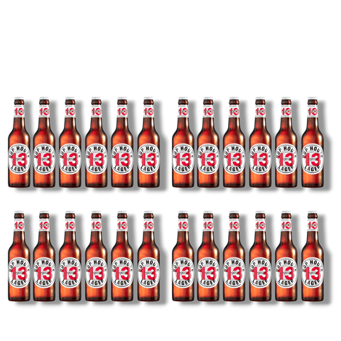 Guinness Hop House 13 – Hoppy Lager 330ml mit 5 % Vol.
