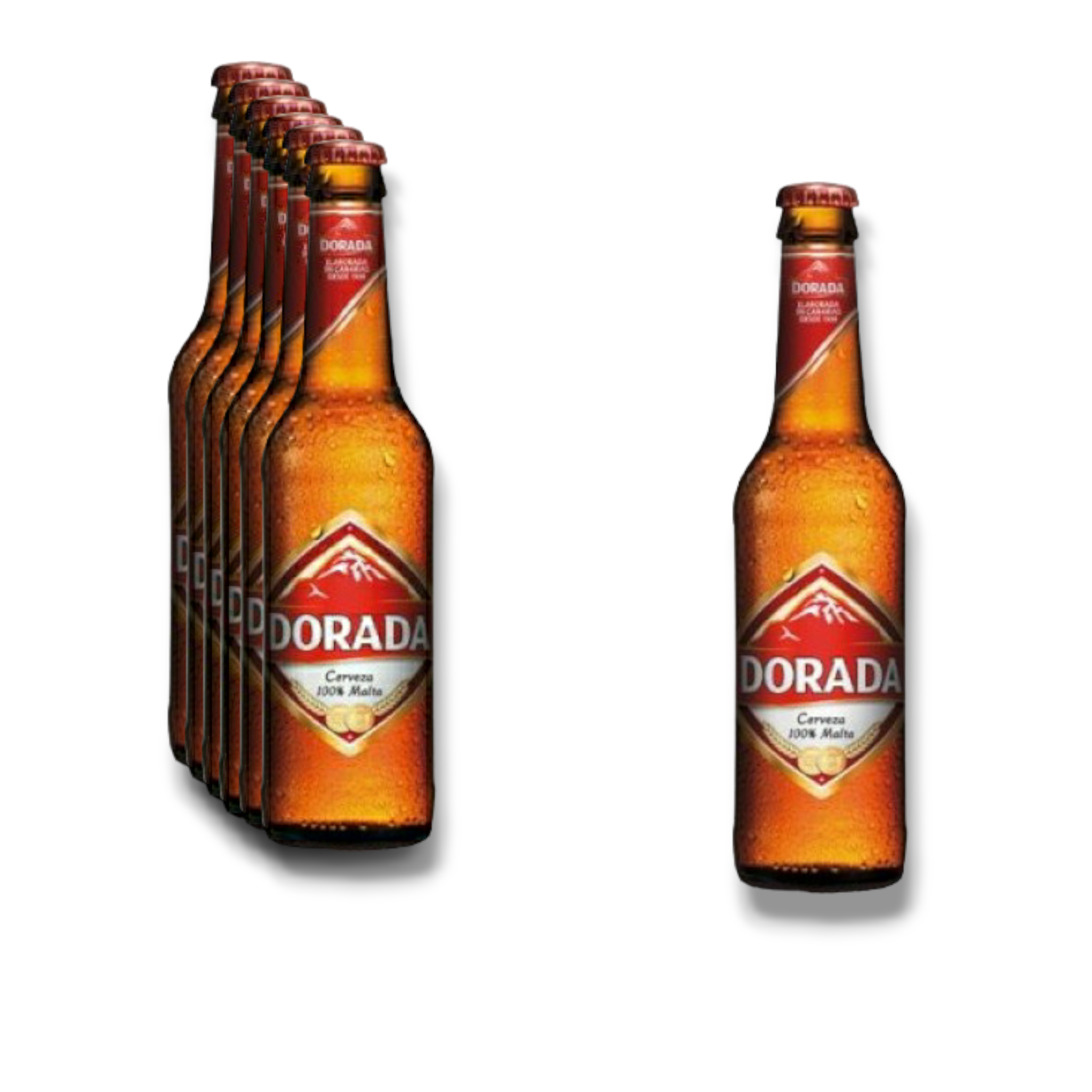 Dorada Pilsen 0,33l - Teneriffa mit 4,7% Vol