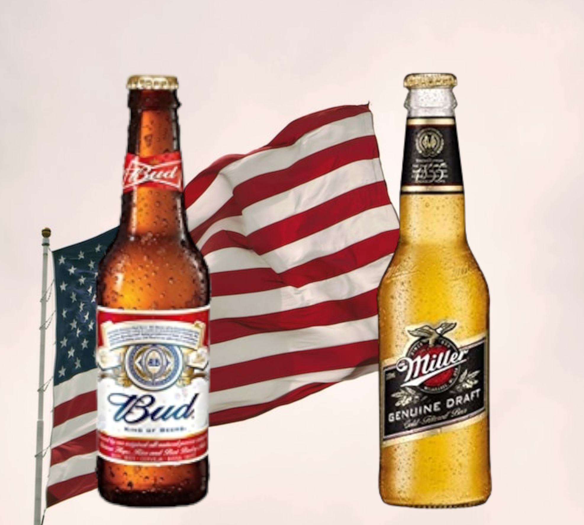 Bud Beer 0,33l & Miller Genuine Draft 0,33l im Mix - USA - Amerikanisches Bier