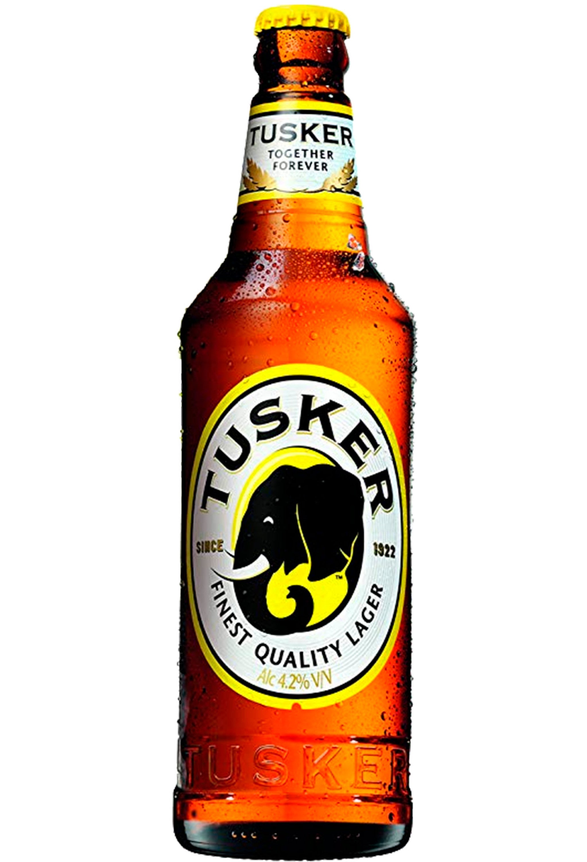 Tusker Bier 0,5l - Das Lager aus Kenia in Afrika mit 4,2%Alc.