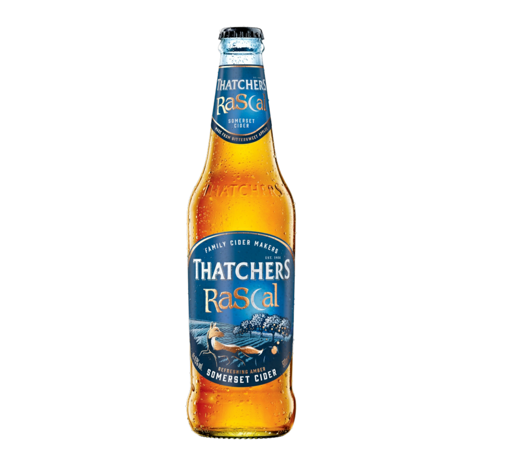 Thatchers Rascal 0,5l- Refreshing Amber Somerset Cider mit 4,5% Vol. - Apfelwein aus Großbritannien