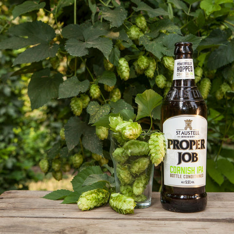 St. Austell Proper Job 0,5l- Cornish IPA aus England mit 5,5% Vol.