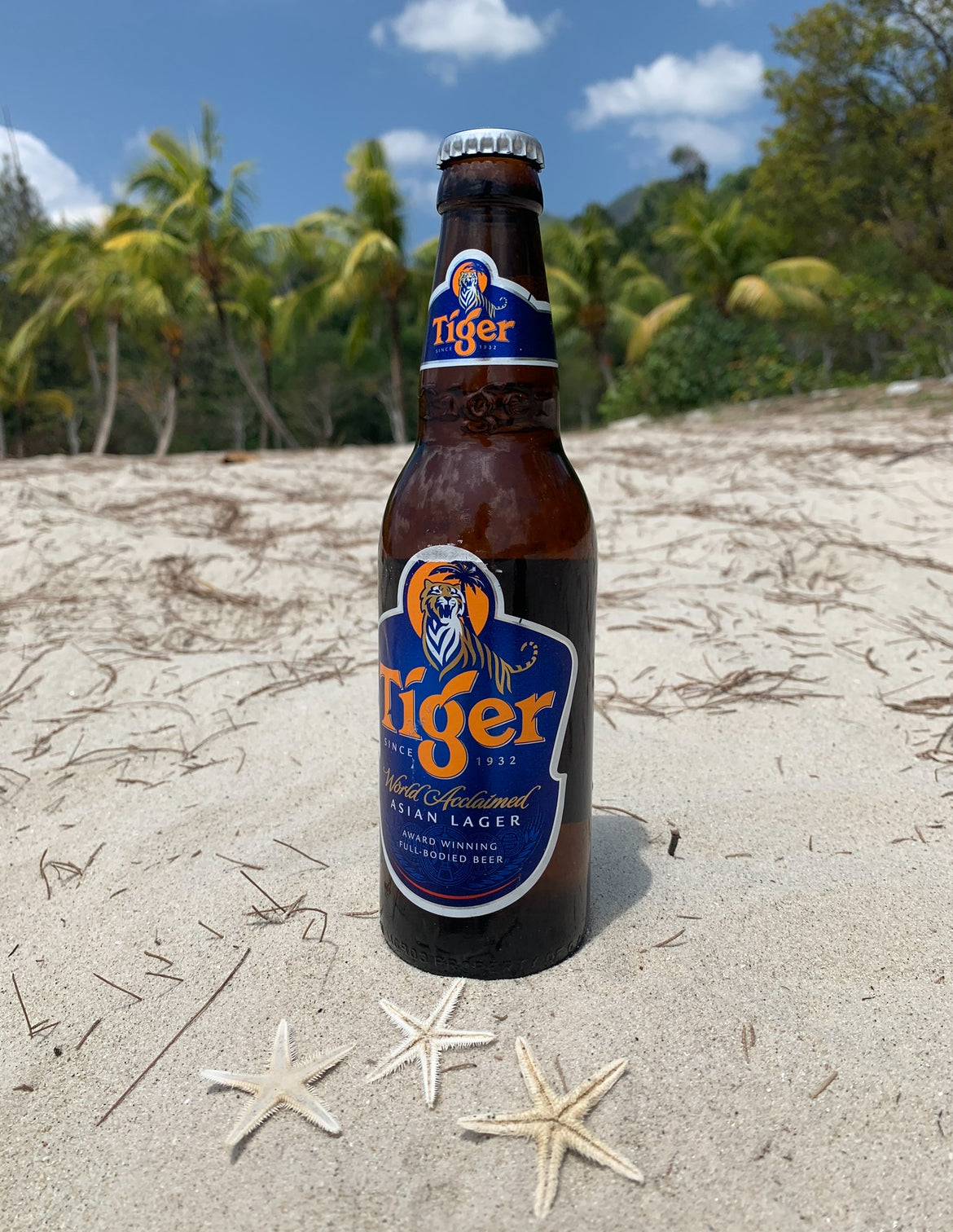 Tiger Beer Asien 0,33l- Das beliebte Bier aus Singapur mit 5,0% Vol.