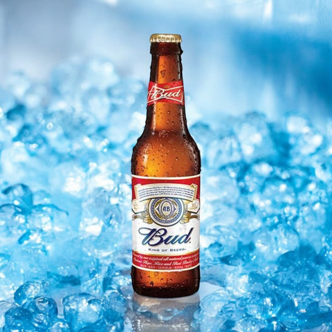 Deine Reise nach Amerika - Sierra Nevada - Bud King of Beer- Coors Light Bier