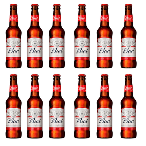 12 Flaschen Bud Lagerbier in zwei Reihen aufgestellt vor weißem Hintergrund – mittlere Packungsgröße
