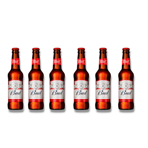 6 Flaschen Bud Lagerbier nebeneinander vor weißem Hintergrund – kleine Probiergröße