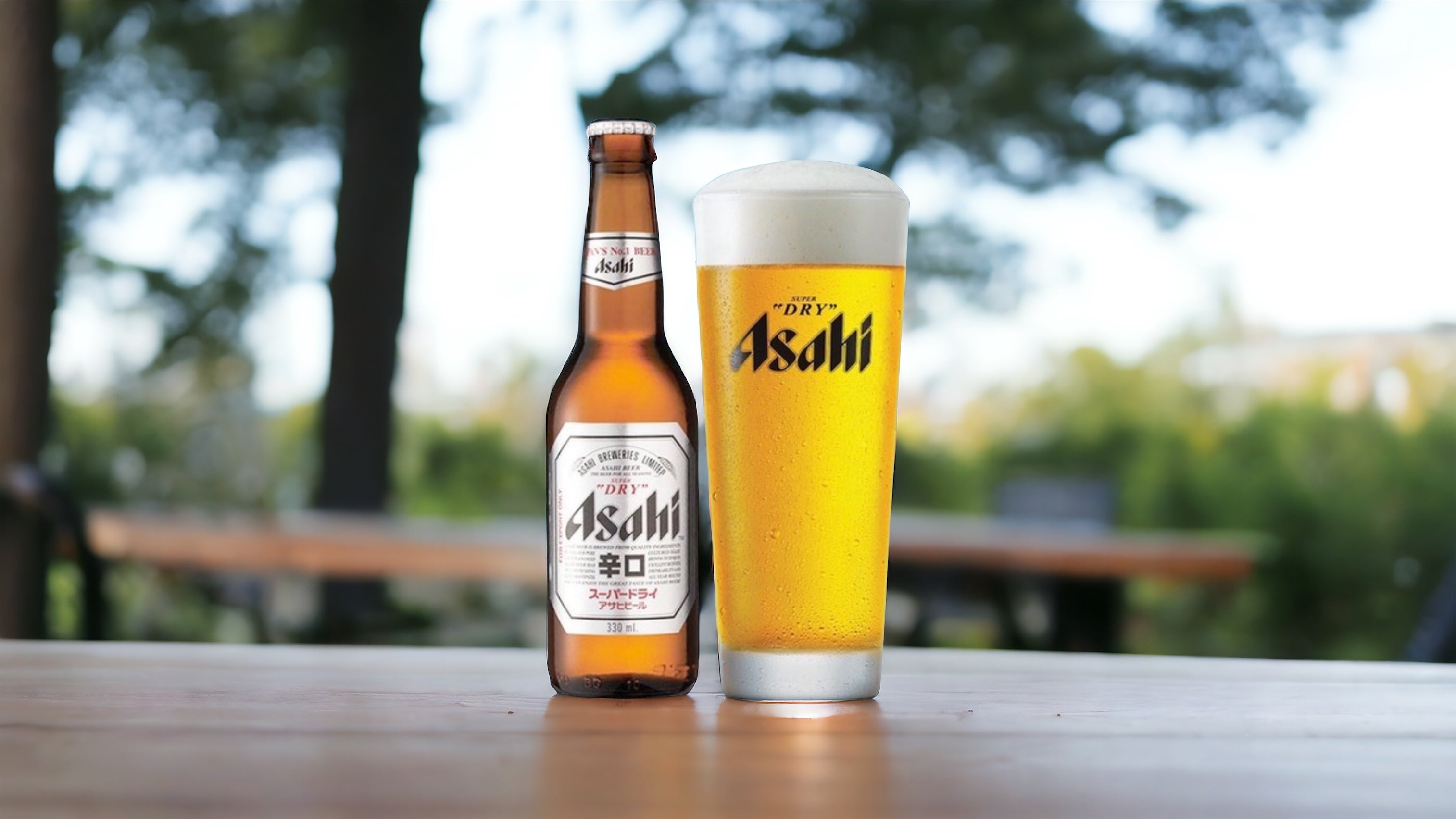 Japan Mixpaket je 6 Flaschen Asahi Dryu Kirin Ichiban Bier 0,33l