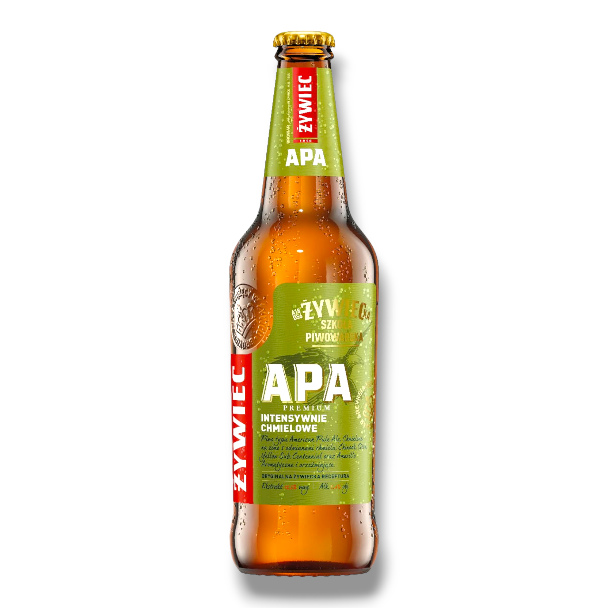 Zywiec APA 0,5l - American Pale Ale aus Polen mit 5,4% Vol.