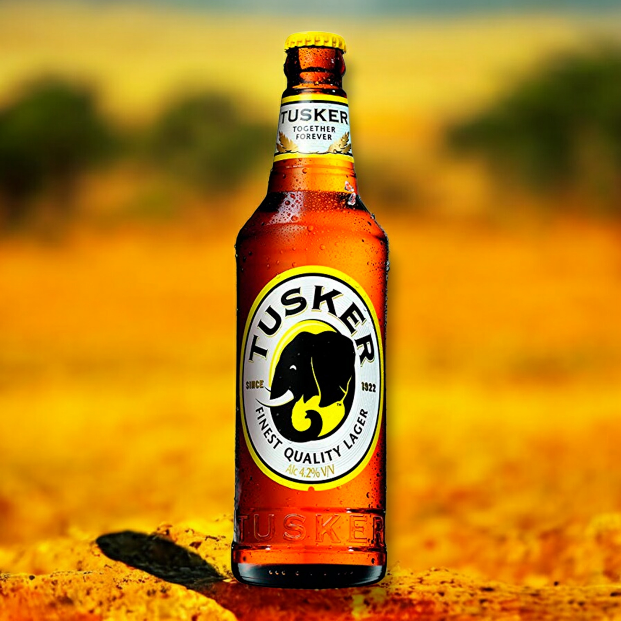 Tusker Lager – Das erfrischende Bier aus Kenia 4,2% Vol.