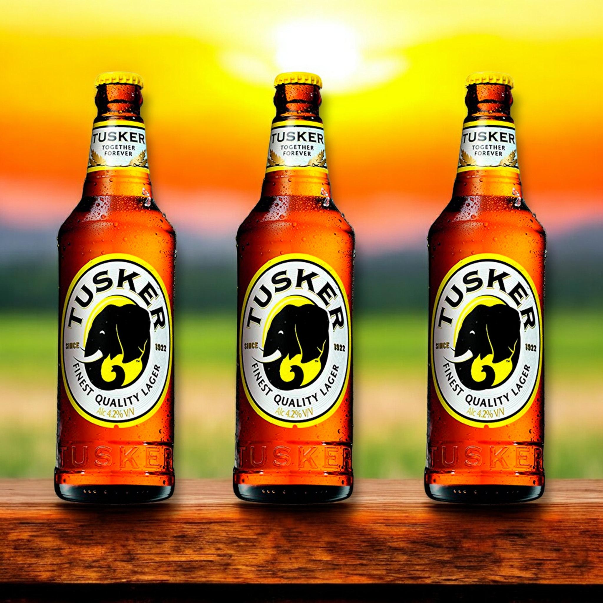 Tusker Lager – Das erfrischende Bier aus Kenia 4,2% Vol.