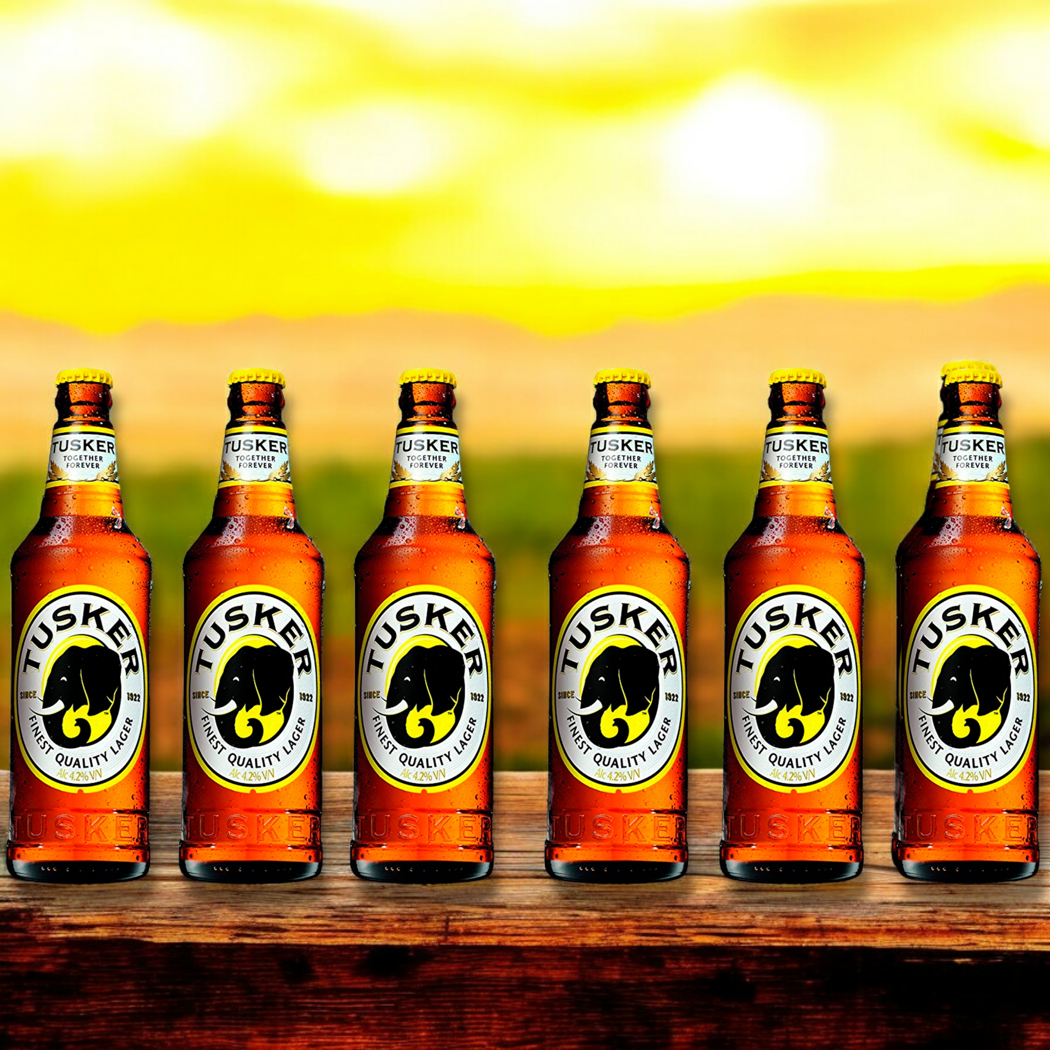 Tusker Lager – Das erfrischende Bier aus Kenia 4,2% Vol.