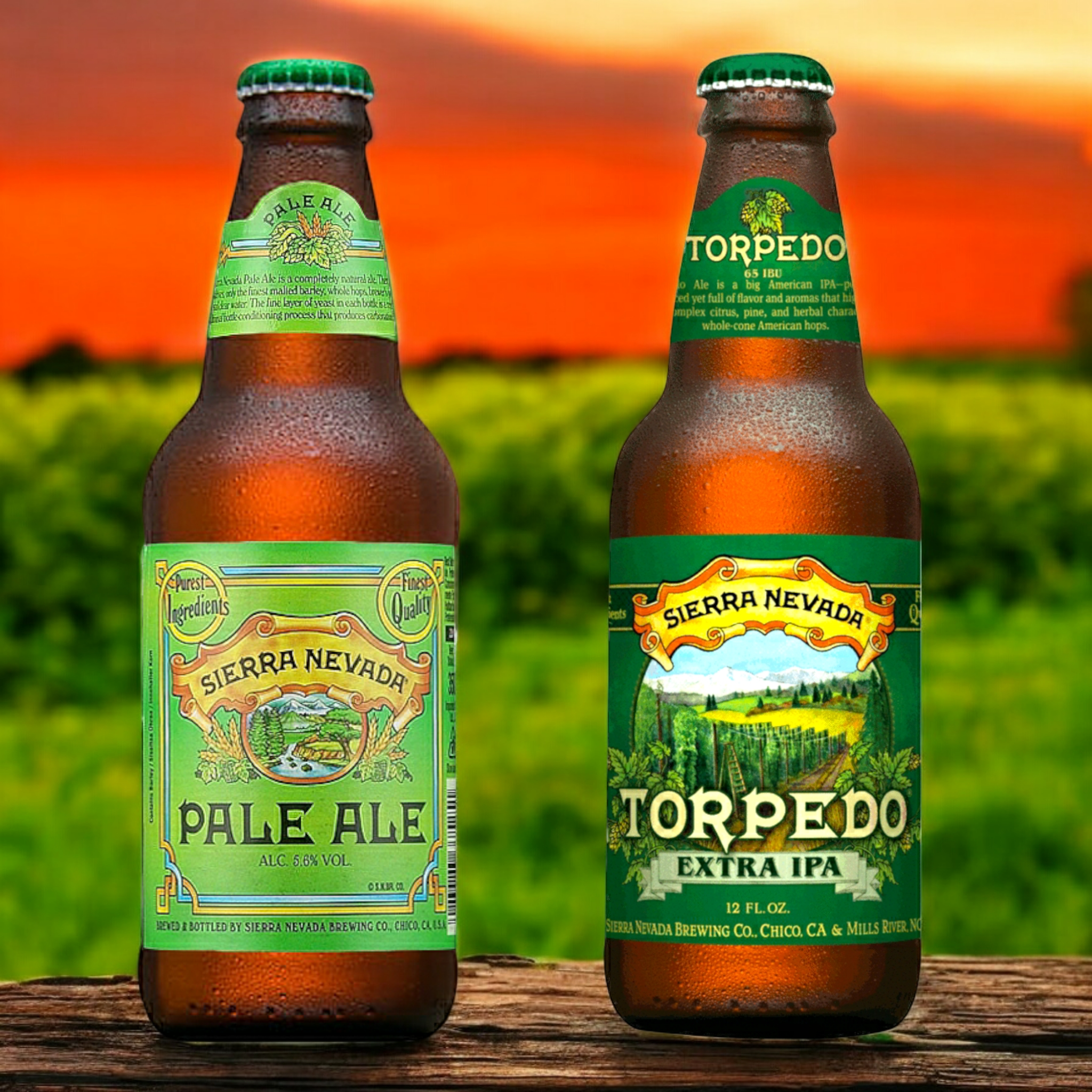 Sierra Nevada Torpedo Extra IPA & Pale Ale Mix – Ein Hochgenuss für Hopfenliebhaber