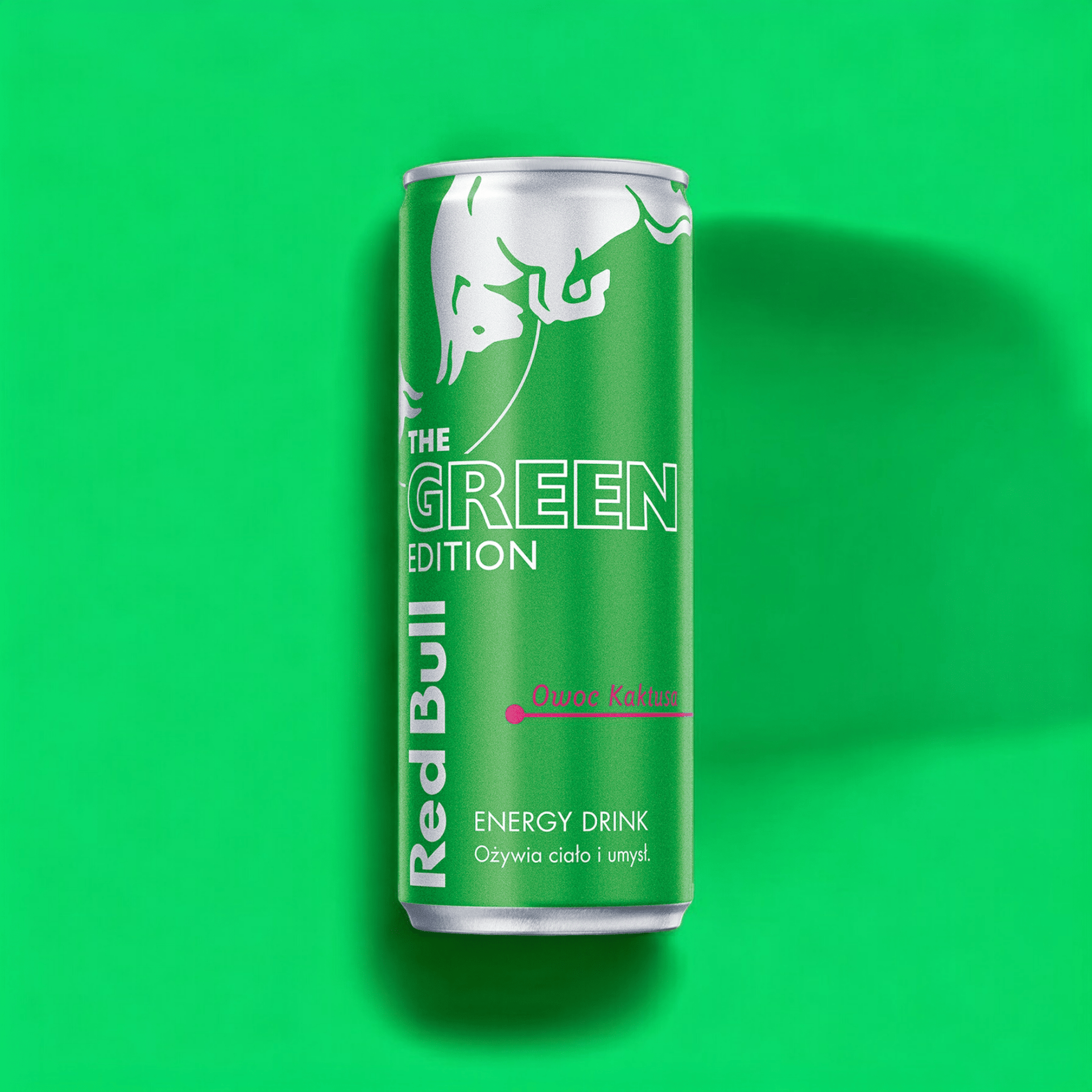 Red Bull Energy Drink Kaktusfrucht – The Green Edition – Dose 250 ml – Haus  der Biere Berlin
