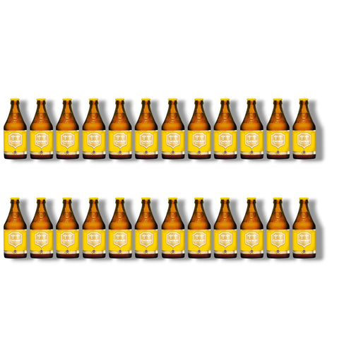 24 Flaschen Chimay Blond belgisches Trappistenbier 0,33 l