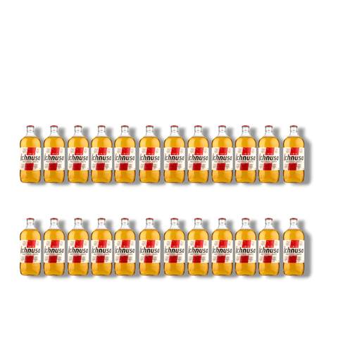 Ichnusa Metodo Lento 24x0,33l Lagerbier von Heineken Italia