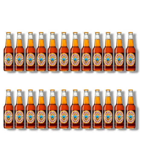 24 Flaschen Newcastle Brown Ale 0,33 l