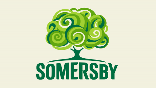 Somersby Blackberry 0,5l - Biermischgetränk mit Brombeere und 4,5% Vol.