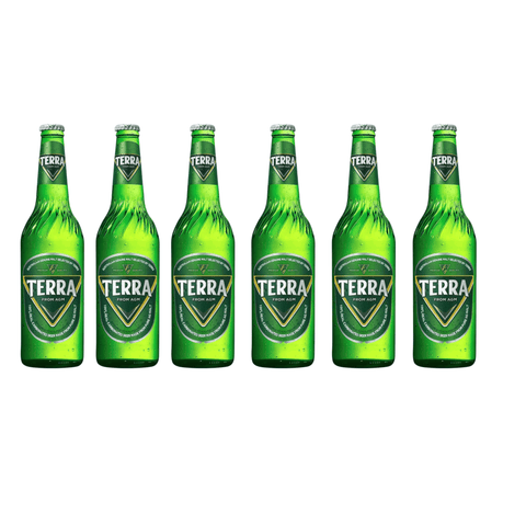6 Flaschen Terra Bier 330ml – südkoreanisches Lagerbier im praktischen Vorratspack