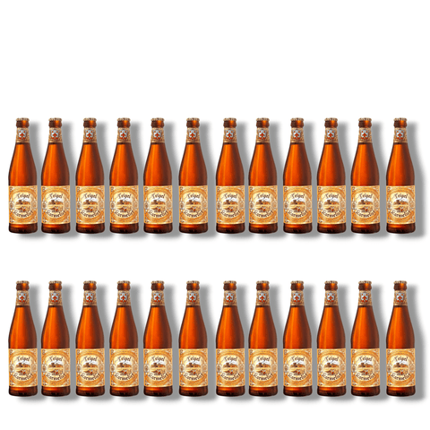 Tripel Karmeliet 24er-Pack 330 ml – Belgisches Tripel Craft Beer