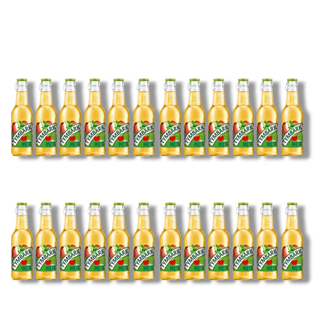 Tymbark Apfel Minze 24er Pack 250ml